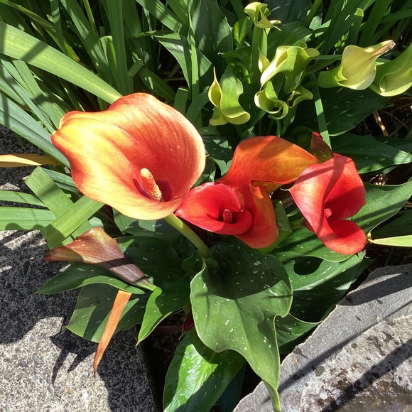 Meet your Posher, Reality - Picture 6 of 16